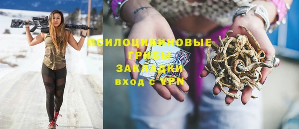 прущая мука Медвежьегорск