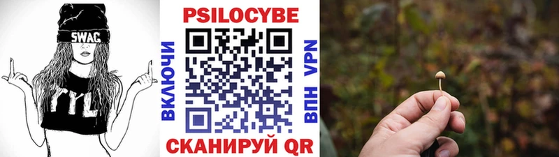 маркетплейс формула  Наволоки  Галлюциногенные грибы Psilocybine cubensis  где купить наркоту 
